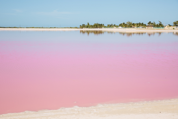 Pink Lagoon in Las Coloradas