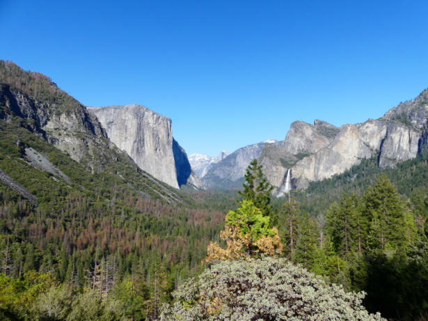 TUI_USA_Amerika_Nationalpark_Yosemit